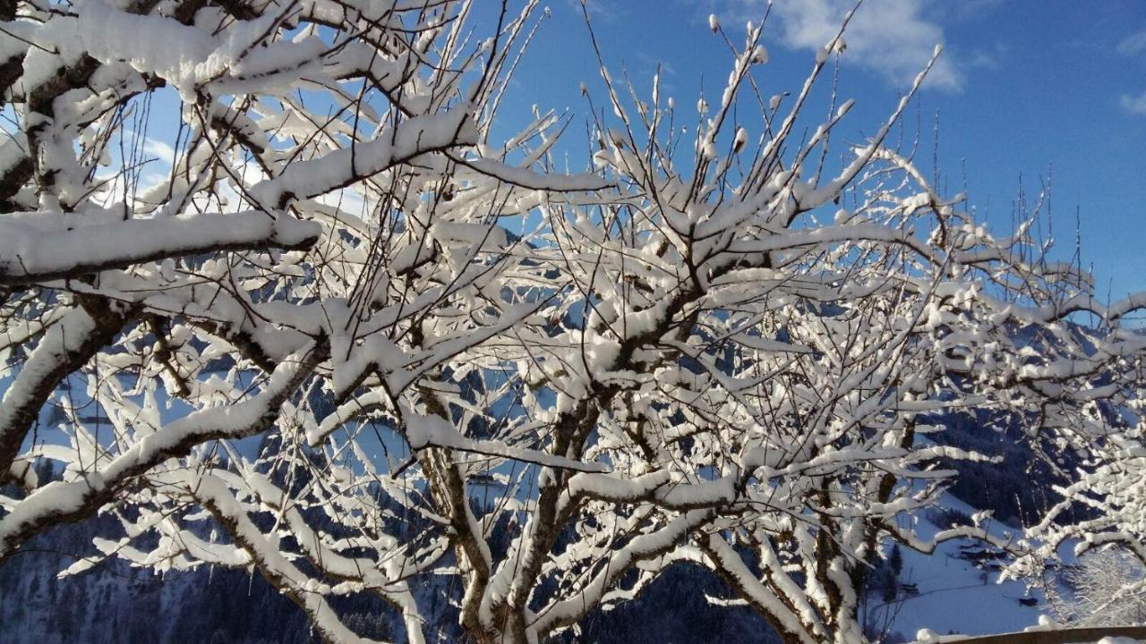 Aussermoos-Zuhaus Alpbach Dış mekan fotoğraf